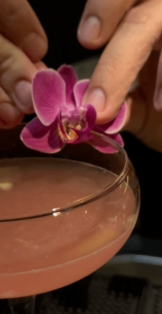 Pink signature cocktail garnished with a fresh orchid at a rooftop bar in Tirana