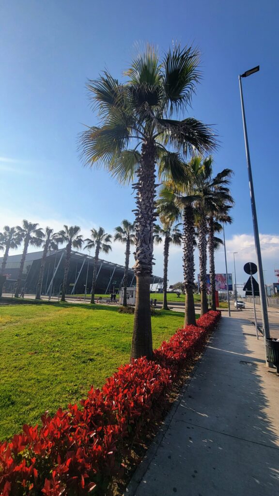 Palm trees and landscaped walkway outside Tirana International Airport on a sunny day