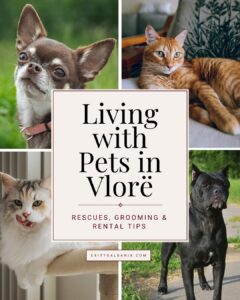 Living with pets in Vlorë, Albania guide featuring rescued cats and dogs